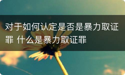 对于如何认定是否是暴力取证罪 什么是暴力取证罪