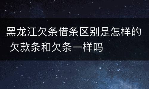 黑龙江欠条借条区别是怎样的 欠款条和欠条一样吗