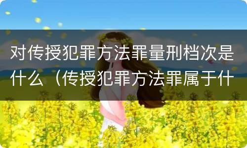 对传授犯罪方法罪量刑档次是什么（传授犯罪方法罪属于什么罪）