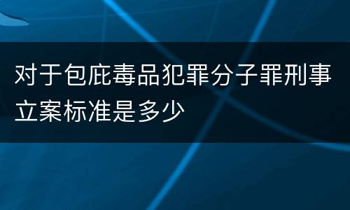 对于包庇毒品犯罪分子罪刑事立案标准是多少