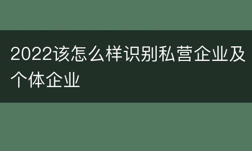2022该怎么样识别私营企业及个体企业