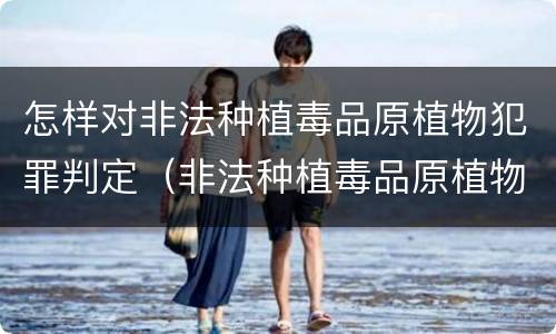 怎样对非法种植毒品原植物犯罪判定（非法种植毒品原植物量刑）