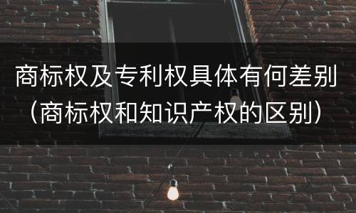商标权及专利权具体有何差别（商标权和知识产权的区别）