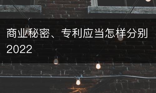 商业秘密、专利应当怎样分别2022