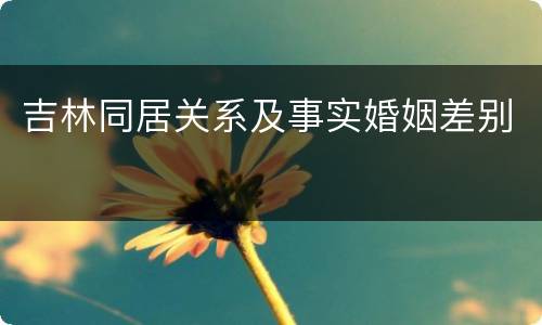 吉林同居关系及事实婚姻差别