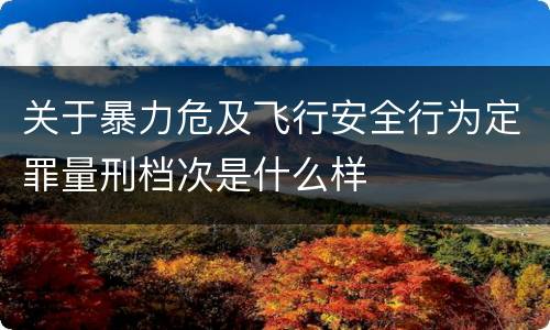 关于暴力危及飞行安全行为定罪量刑档次是什么样