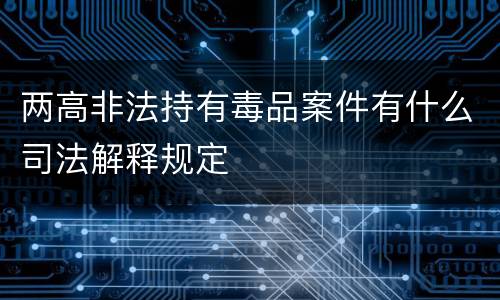 两高非法持有毒品案件有什么司法解释规定