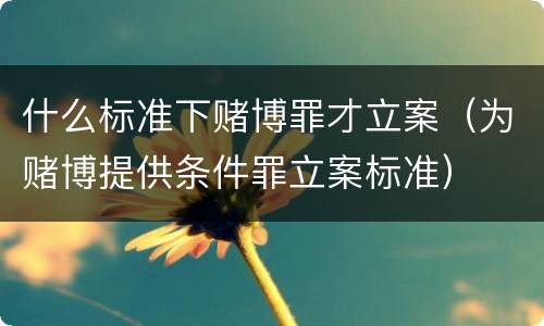 什么标准下赌博罪才立案（为赌博提供条件罪立案标准）