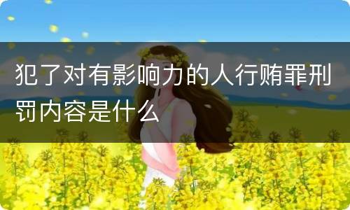 犯了对有影响力的人行贿罪刑罚内容是什么