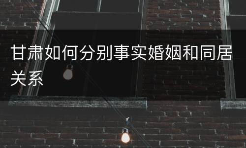 甘肃如何分别事实婚姻和同居关系