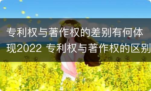 专利权与著作权的差别有何体现2022 专利权与著作权的区别
