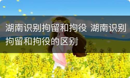 湖南识别拘留和拘役 湖南识别拘留和拘役的区别