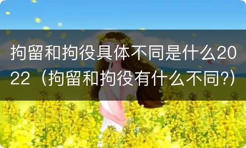 拘留和拘役具体不同是什么2022（拘留和拘役有什么不同?）