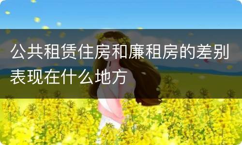 公共租赁住房和廉租房的差别表现在什么地方
