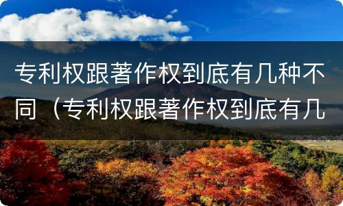 专利权跟著作权到底有几种不同（专利权跟著作权到底有几种不同呢）