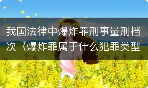 我国法律中爆炸罪刑事量刑档次（爆炸罪属于什么犯罪类型）