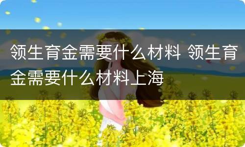 领生育金需要什么材料 领生育金需要什么材料上海