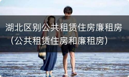 湖北区别公共租赁住房廉租房（公共租赁住房和廉租房）