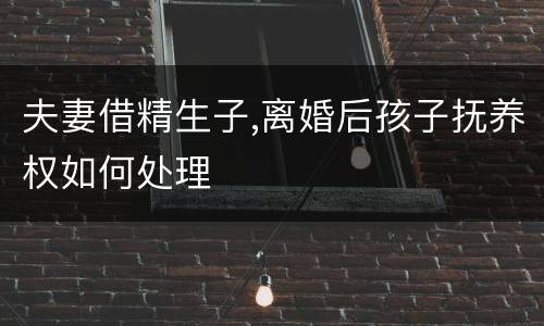 夫妻借精生子,离婚后孩子抚养权如何处理