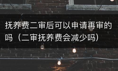 抚养费二审后可以申请再审的吗（二审抚养费会减少吗）