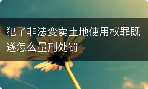 犯了非法变卖土地使用权罪既遂怎么量刑处罚