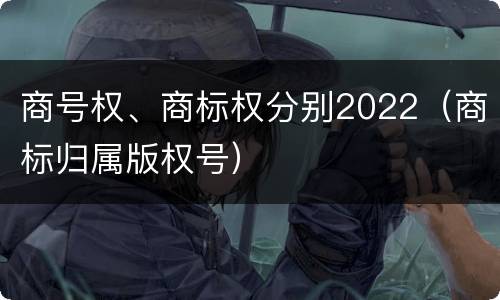 商号权、商标权分别2022（商标归属版权号）