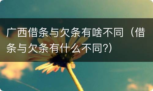 广西借条与欠条有啥不同（借条与欠条有什么不同?）