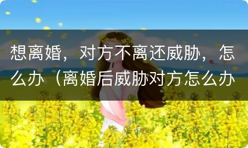 想离婚，对方不离还威胁，怎么办（离婚后威胁对方怎么办）