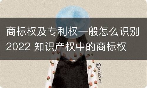 商标权及专利权一般怎么识别2022 知识产权中的商标权