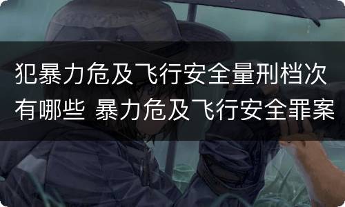 犯暴力危及飞行安全量刑档次有哪些 暴力危及飞行安全罪案例
