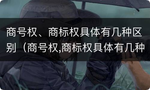 商号权、商标权具体有几种区别（商号权,商标权具体有几种区别是什么）