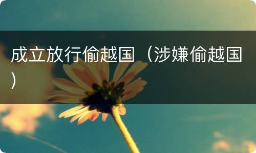 成立放行偷越国（涉嫌偷越国）