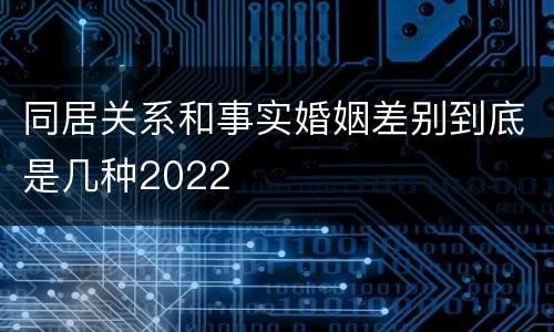 同居关系和事实婚姻差别到底是几种2022