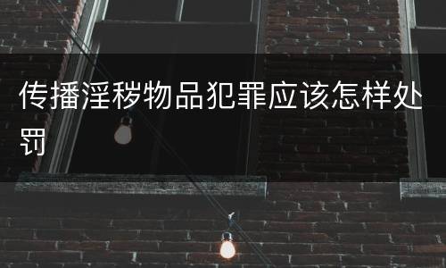 传播淫秽物品犯罪应该怎样处罚