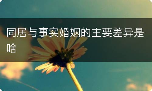 同居与事实婚姻的主要差异是啥