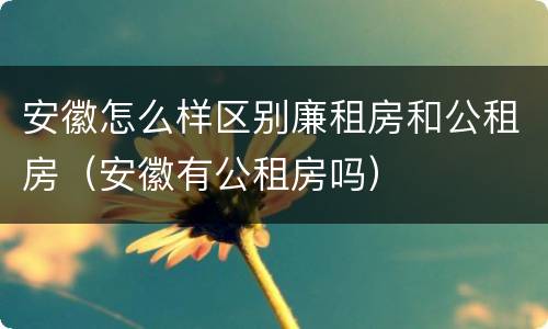 安徽怎么样区别廉租房和公租房（安徽有公租房吗）
