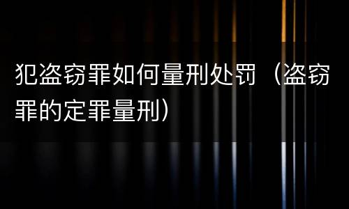 犯盗窃罪如何量刑处罚（盗窃罪的定罪量刑）