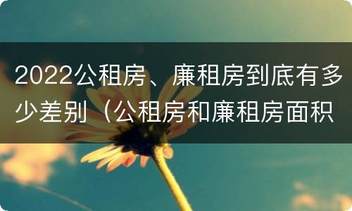2022公租房、廉租房到底有多少差别（公租房和廉租房面积）
