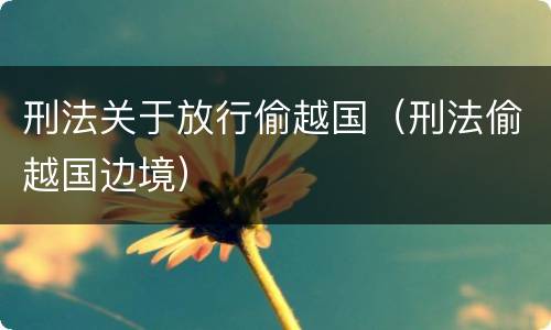 刑法关于放行偷越国（刑法偷越国边境）