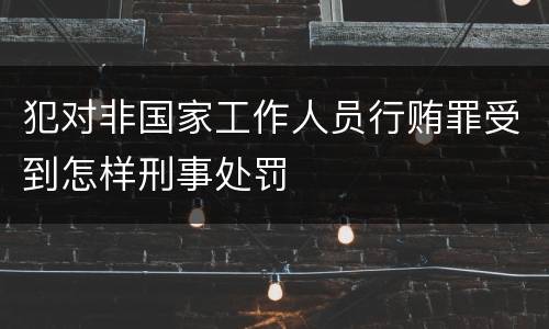 犯对非国家工作人员行贿罪受到怎样刑事处罚