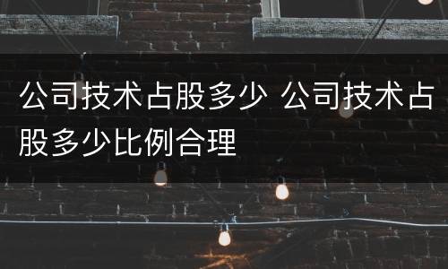 公司技术占股多少 公司技术占股多少比例合理