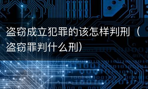 盗窃成立犯罪的该怎样判刑（盗窃罪判什么刑）