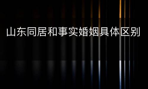 山东同居和事实婚姻具体区别