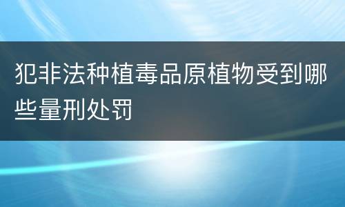 犯非法种植毒品原植物受到哪些量刑处罚