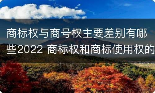 商标权与商号权主要差别有哪些2022 商标权和商标使用权的区别