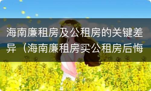海南廉租房及公租房的关键差异（海南廉租房买公租房后悔了）