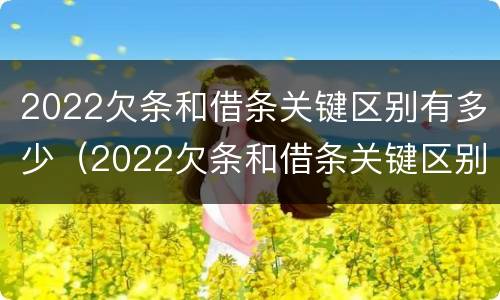 2022欠条和借条关键区别有多少（2022欠条和借条关键区别有多少种）
