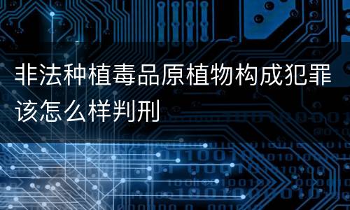 非法种植毒品原植物构成犯罪该怎么样判刑