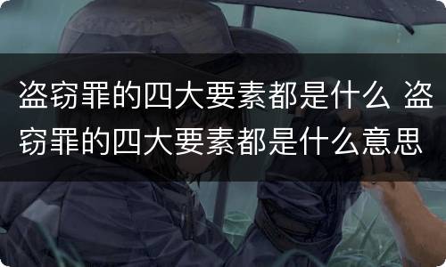 盗窃罪的四大要素都是什么 盗窃罪的四大要素都是什么意思