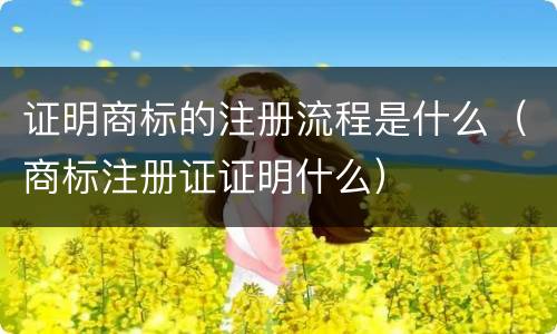 证明商标的注册流程是什么（商标注册证证明什么）